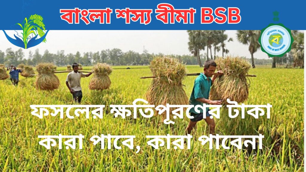 Bangla Shasya Bima Payment ফসলের ক্ষতিপূরণের টাকা কারা পাবে, কারা পাবেনা।